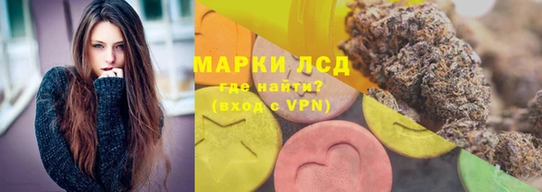 молекула духа Арсеньев