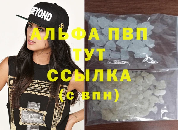 молекула духа Арсеньев