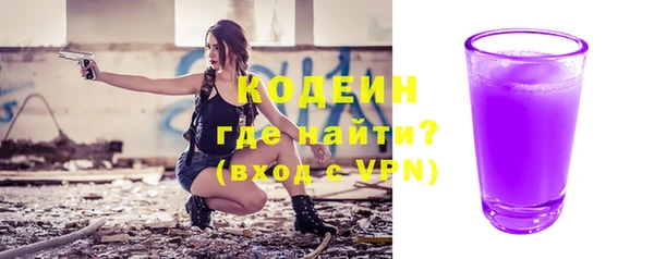 молекула духа Арсеньев