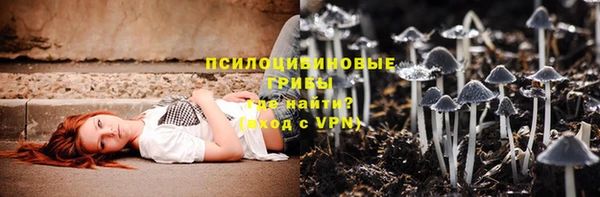 стафф Армянск