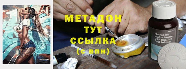 гидра Алексин
