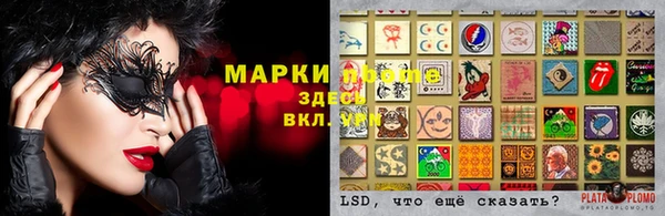 молекула духа Арсеньев