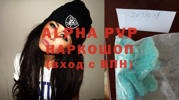 молекула духа Арсеньев