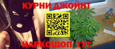 шишки Кимры