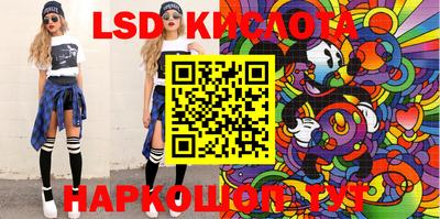 шишки Кимры