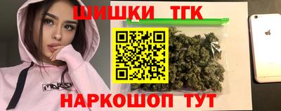 шишки Кимры