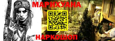 шишки Кимры