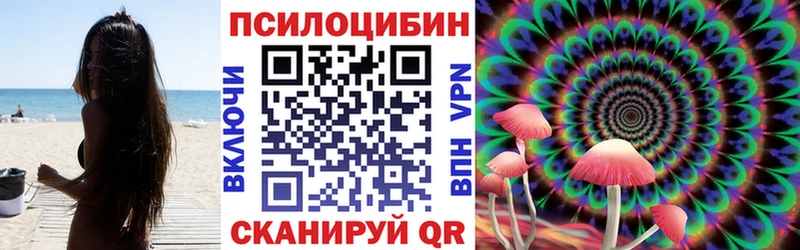 Галлюциногенные грибы Cubensis  магазин продажи   Кубинка 