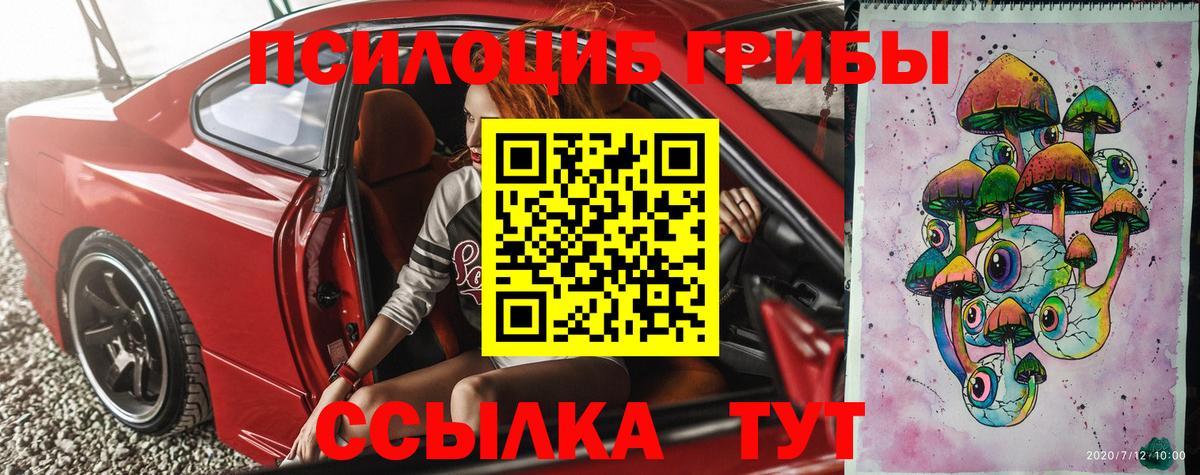 Галлюциногенные грибы Psilocybe  Вход с VPN  Кубинка 