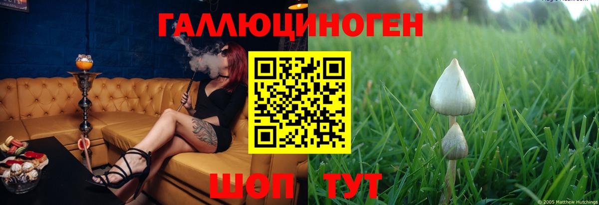 Галлюциногенные грибы GOLDEN TEACHER Кубинка
