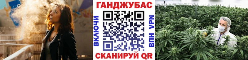 Конопля марихуана Кубинка